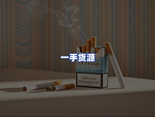 专业团队